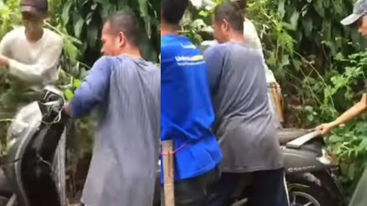 Honda Scoopy ada di semak-semak (Instagram/@terangmedia)