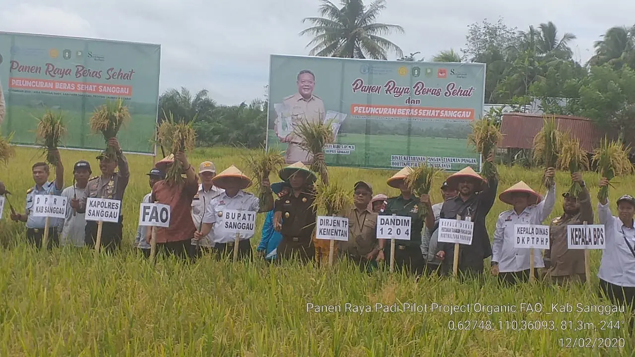 Kerjasama Pangan dengan FAO, Kementan Dukung Pengembangan Beras Organik Sanggau