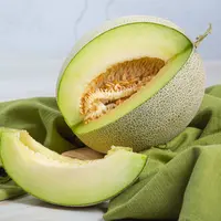 Ilustrasi Buah Melon yang Manis dan Segar / Freepik by jcomp