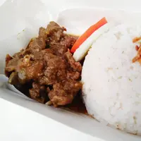 Ilustrasi bebek palekko./Copyright shutterstock.com/g/Dzaqi+Akbar