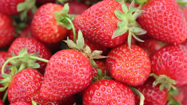 Melindungi Kulit dan Membuatnya Lebih Bercahaya