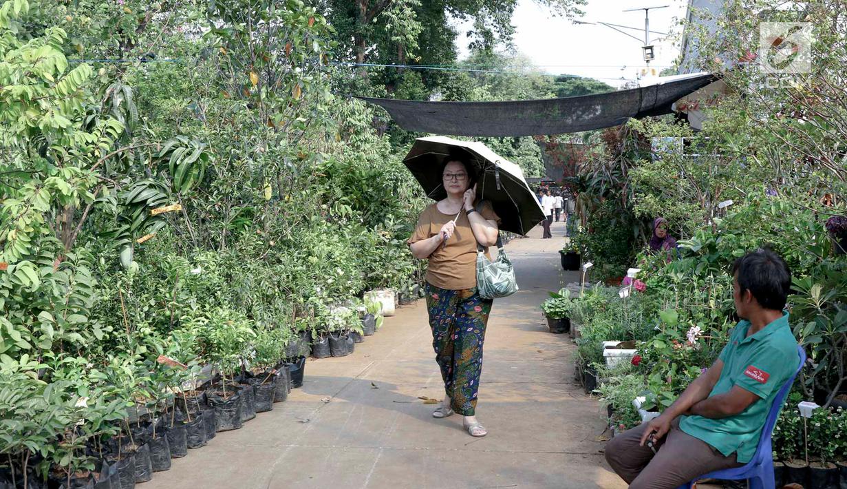 Pengunjung berjalan di antara tanaman yang dijual dalam pameran Flora dan Fauna 2018 di Taman Lapangan Banteng, Jakarta, Selasa (21/7). Pameran ini diselenggarakan oleh Dinas Kehutanan Provinsi DKI Jakarta. (Liputan6.com/Immanuel Antonius)