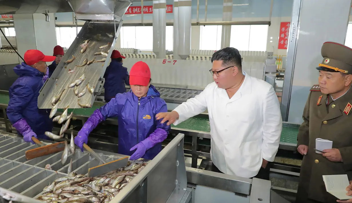 Gambar tak bertanggal yang dirilis pada 19 November 2019, pemimpin Korea Utara Kim Jong-un (kedua kanan) mengunjungi pabrik pengolahan ikan di lokasi yang dirahasiakan di Korea Utara. Kim Jong-un berbicara dengan para pekerja dan sesekali tertawa saat berkeliling pabrik.  STRINGER/KCNA VIA KNS/AFP)