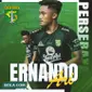 Persebaya Surabaya - Ilustrasi Ernando Ari (Bola.com/Adreanus Titus)