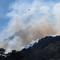 Lebih dari 1.176 hektar lahan terbakar dan setidaknya delapan bangunan rusak. Tampak dalam foto, seekor burung terbang di atas puncak gunung yang terbakar akibat kebakaran hutan di dekat kota Otsuchi, Prefektur Iwate, Jepang pada Sabtu 25 April 2026. (ANDREW CABALLERO-REYNOLDS/AFP)