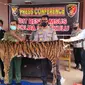 Populasi Harimau Sumatera saat ini sangat mengkhawatirkan, jika tidak dilakukan tindakan tegas maka ancaman kepunahan terus menghantui. (Liputan6.com/Yuliardi Hardjo)