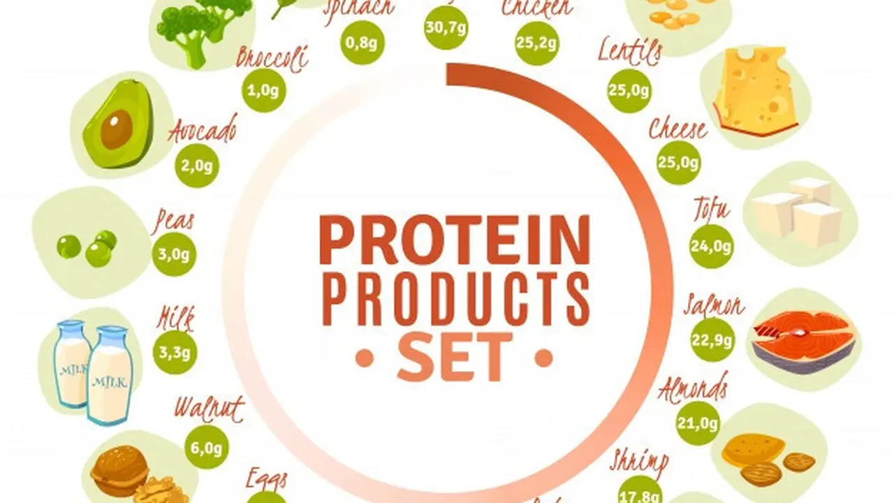 Ilustrasi makanan yang mengandung protein