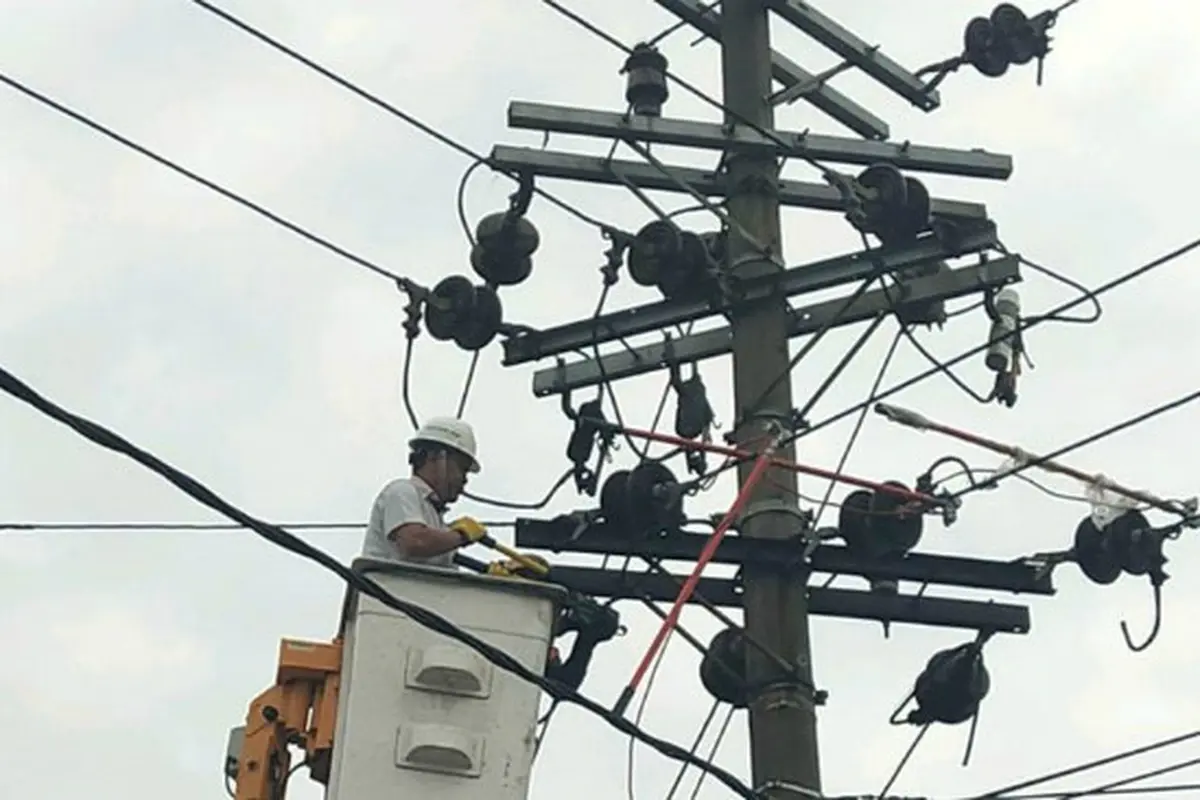 (Foto: PLN UP 3 Pasuruan)