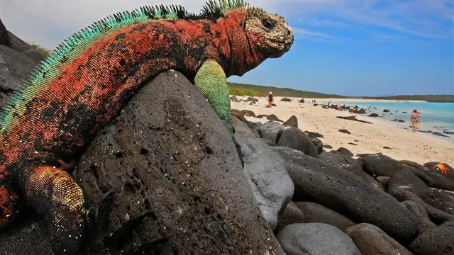 Akibat Perubahan Iklim, 7 Pulau Ini Terancam 'Hilang' Selamanya