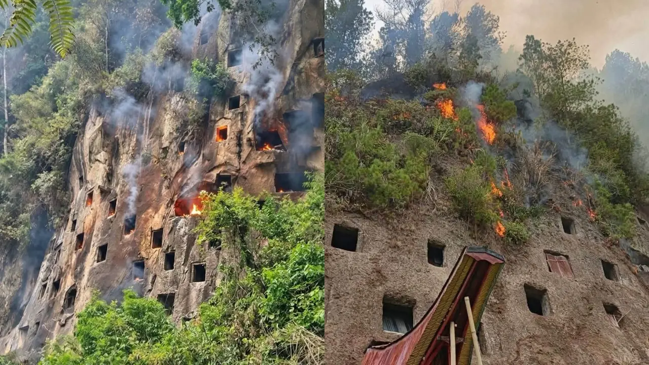 Karhutla Toraja Utara Hanguskan Pemakaman Tradisional