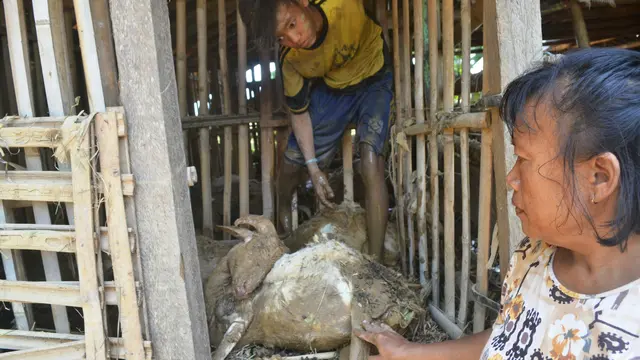 Status Diperpanjang, Pemda Cirebon Fokus Pemulihan Terdampak Banjir