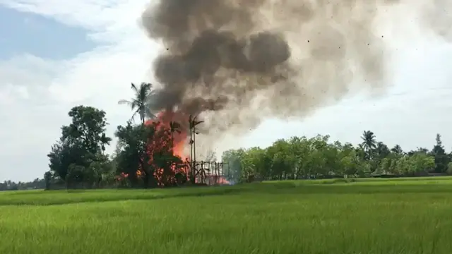 Rohingya