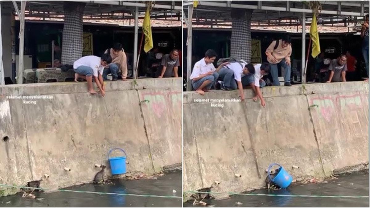 Momen 4 Pelajar SMA Kerja Sama Tolong Kucing yang Jatuh ke Sungai, Bikin  Salut - Hot Liputan6.com