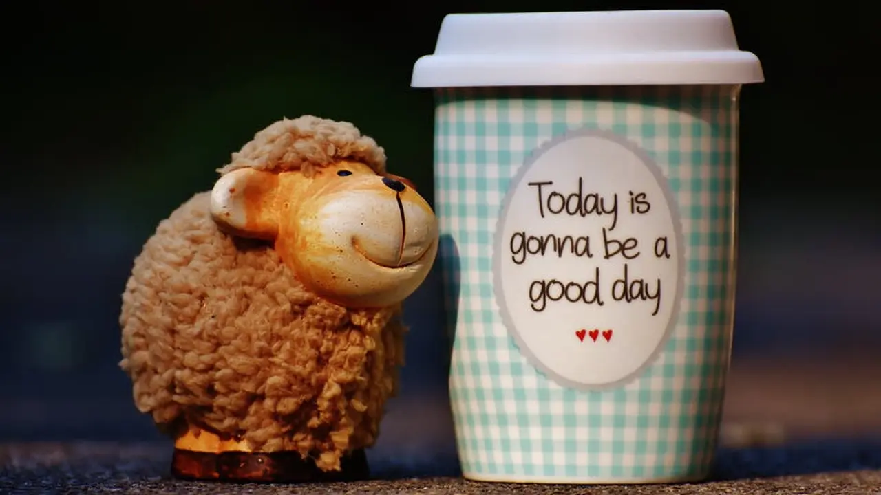 [Bintang] Tarot Hari Ini: I Love Monday!