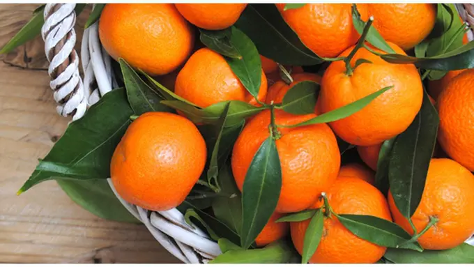 Courtesy ShutterStock.com