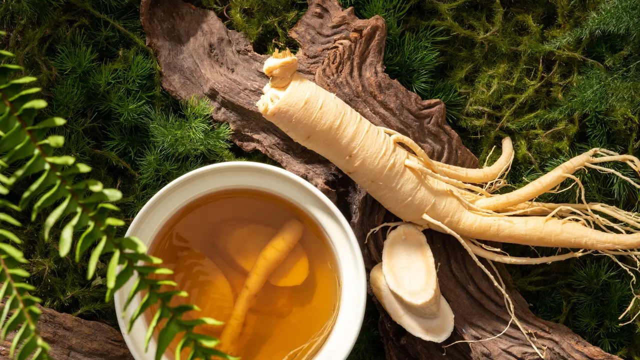 teh akar gingseng