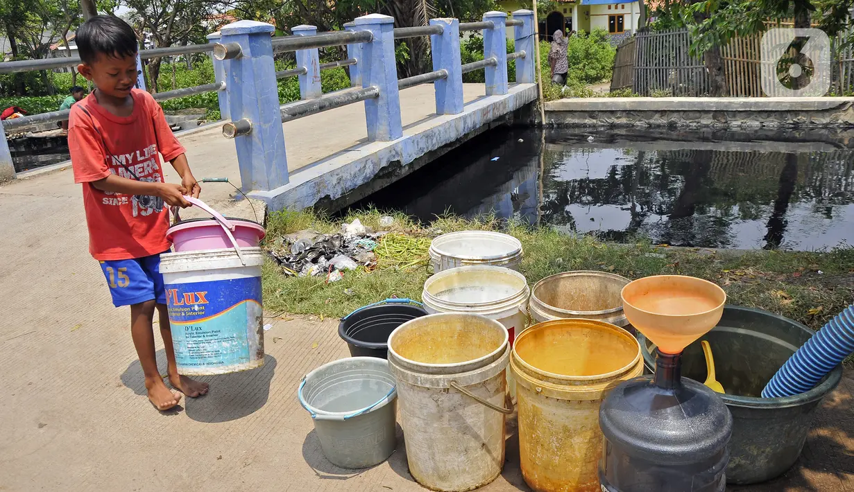 Seorang anak membawa ember saat mengambil air bersih di kawasan Karangbahagia, Kabupaten Bekasi, Jawa Barat, Selasa (7/9/2021). Pemerintah Kabupaten Bekasi mendistribusikan air bersih kepada warga yang tinggal di pinggiran Kali Cilemahabang. (Liputan6.com/Herman Zakharia)