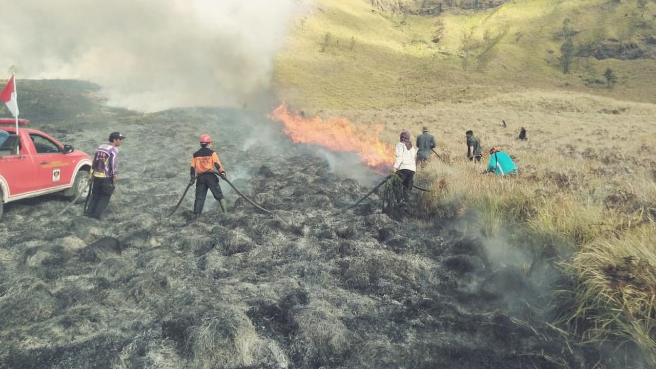 Penyebab Puluhan Hektar Hutan di Gunung Bromo Terbakar