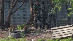 Petugas satwa berusaha menangkap monyet ekor panjang di sebuah desa, Bangkok, Thailand, (21/9/2015). Pemerintah Thailand merelokasi kera ekor panjang untuk mengurangi konflik dengan masyarakat setempat. (REUTERS/Chaiwat Subprasom)
