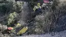 Pesawat pengebom air tersebut jatuh ketika sedang memadamkan kebakaran hutan di dekat Platanistos, kata kementerian pertahanan. (STRINGER / AFP)