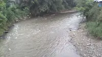 Seorang pria di Bogor, Jawa Barat nekat terjun ke Sungai Ciliwung setelah diteriaki maling karena ketahuan hendak maling. (Liputan6.com/Darno)
