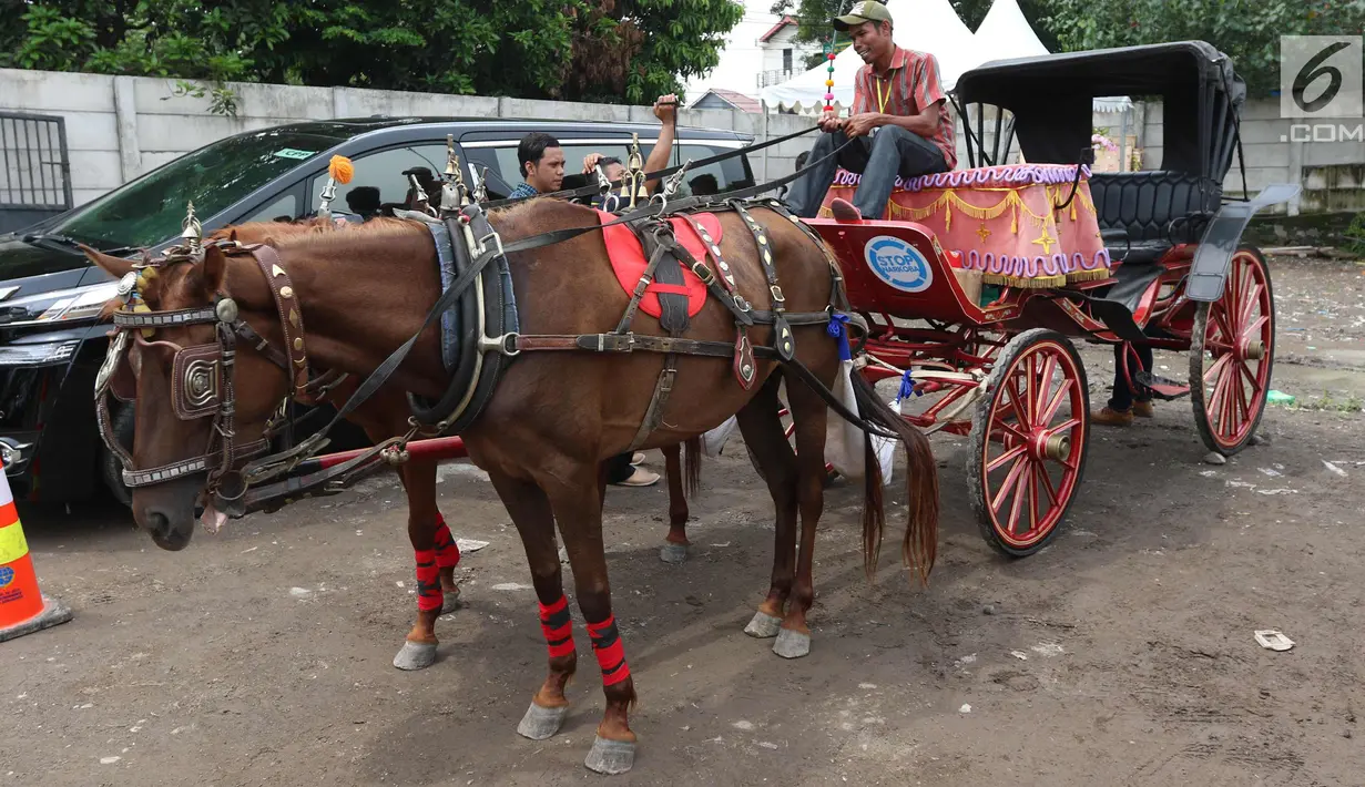 Kereta kencana yang akan digunakan dalam pernikahan Kahiyang Ayu dan Bobby Nasution tiba di Graha Saba, Solo, Selasa (7/11). Jelang pernikahan putri Presiden Jokowi,  kereta kencana disiapkan untuk mengantar Kahiyang dan Bobby. (Liputan6.com/Angga Yuniar)