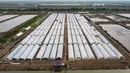 Penggunaan metode ini memungkinkan produksi garam dilakukan sepanjang tahun. (Aditya Irawan/AFP)