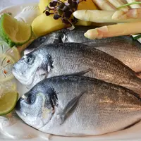 Ilustrasi/copyright pixabay.com