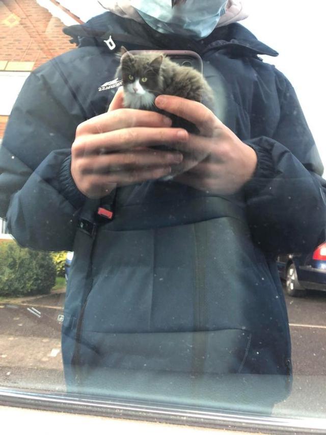 10 Foto Mengecoh Mata Ini Bikin Harus Lihat Dua Kali