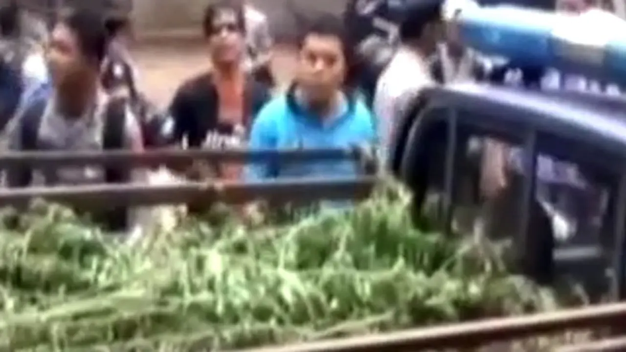 LADANG-GANJA-140830