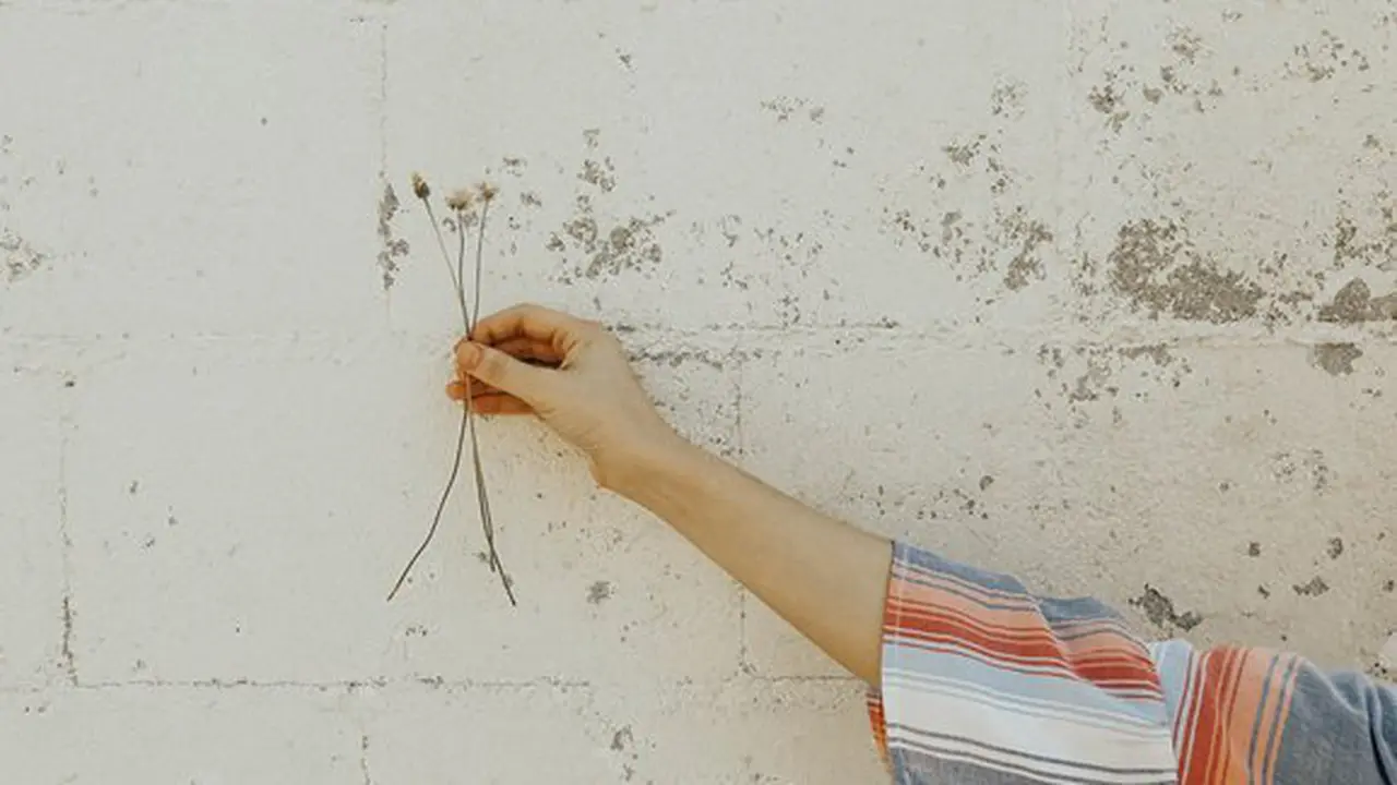 Ilustrasi./Copyright unsplash.com/victoria bilsborough