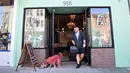 MJ minum air saat pemiliknya Joey Lake keluar dari restoran untuk anjing Dogue di San Francisco, California, Amerika Serikat, 5 Oktober 2022. Restoran ini meminta bantuan dokter hewan untuk memperbaiki hidangan guna memastikan kelengkapan, seimbang, dan mengandung bahan-bahan yang aman untuk anjing. (JOSH EDELSON/AFP)