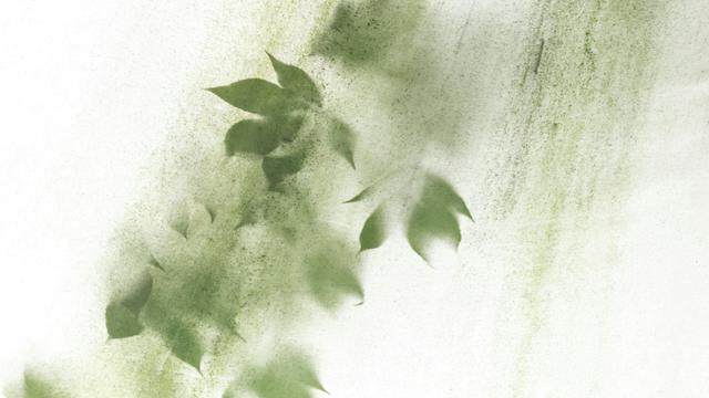 Ilustrasi kain ecoprint