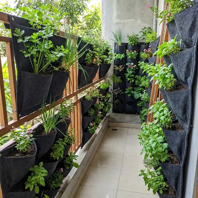 Teras Rumah Sempit Jadi Kebun Hijau