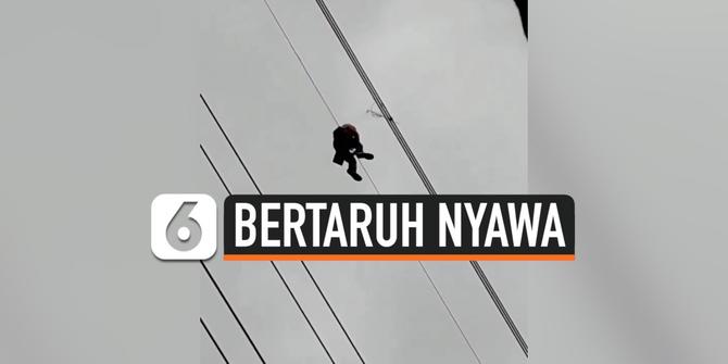 VIDEO: Petugas Gelantungan Demi Bersihkan Kabel Sutet dari Layangan