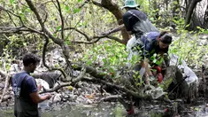 Warga membersihkan sampah plastik di area hutan bakau sebagai bagian dari kampanye kebersihan di Desa Serangan, Denpasar, Bali, pada Rabu 15 April 2026. Sampah plastik yang menumpuk di hutan bakau Desa Serangan, Denpasar, Bali, menjadi ancaman serius bagi ekosistem mangrove. (SONNY TUMBELAKA/AFP)