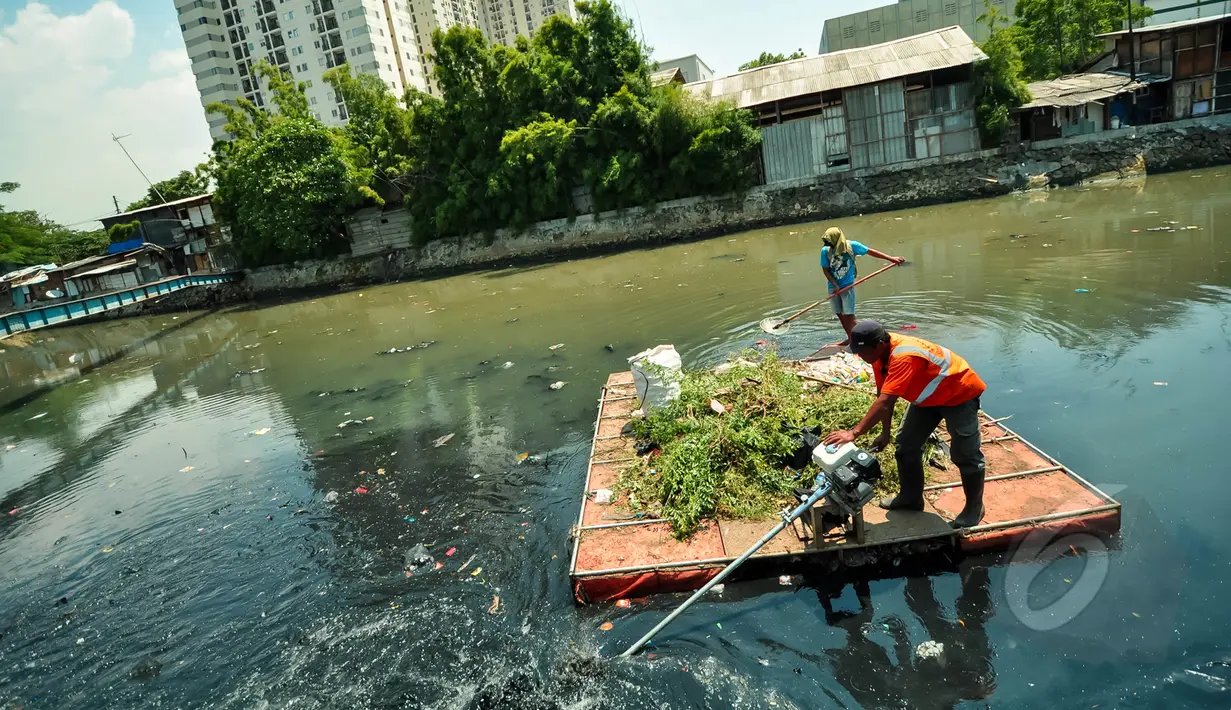 Pekerja kebersihan membersihkan tumbuhan liar dan sampah di bantaran Kali Sentiong, Jakarta, Selasa (31/3/2015). Kegiatan tersebut dilakukan guna mengantisipasi banjir dan mengurangi penumpukan sampah di sepanjang sungai. (Liputan6.com/Faizal Fanani)