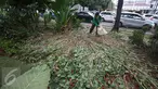 Pekerja membersihkan sampah berserakan di taman yang rusak di depan gedung Balai Kota Jakarta, Jumat (14/10). Taman tersebut rusak akibat banyaknya pengunjuk rasa yang menginjak-injak serta duduk di atas tanaman. (Liputan6.com/Immanuel Antonius)