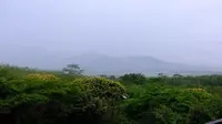 Pemandangan dari Skyview di Kampoeng Kopi Banaran, Bawen, Kabupaten Semarang. (Liputan6.com/Asnida Riani)