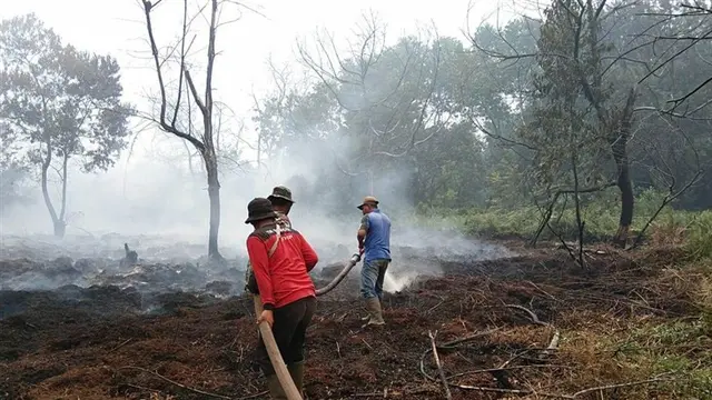 Kebakaran Hutan