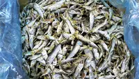 6 Cara Mengolah Ikan Asin agar Tidak Terlalu Asin, Tak Mengurangi Kelezatan dan Tekstur Renyah