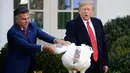 Presiden Amerika Serikat Donald Trump memberikan pengampunan kepada kalkun dalam upacara Thanksgiving nasional di Rose Garden Gedung Putih, Selasa (26/11/2019). Ini merupakan tradisi tahunan yang diadakan di Gedung Putih sehari sebelum perayaan Hari Thanksgiving. (AP/Evan Vucci)