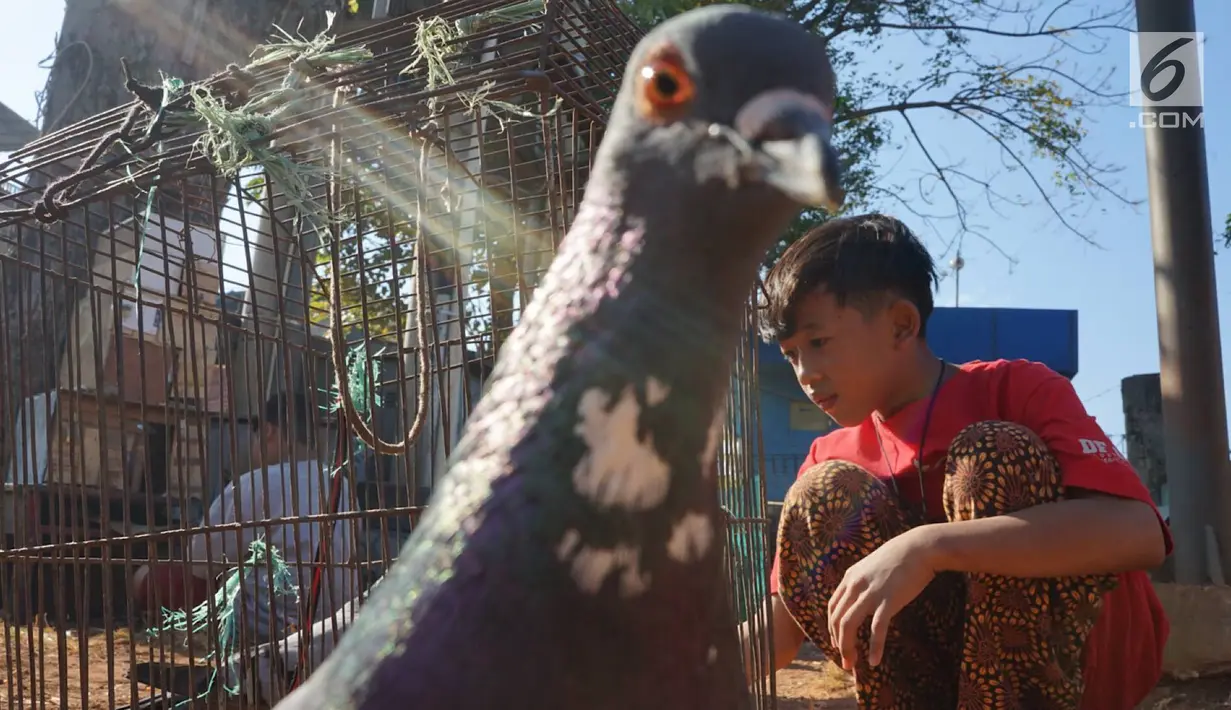 Seorang anak bermain dengan burung merpati di kawasan Tanah Abang, Jakarta, Selasa (23/7/2019). Pada peringatan Hari Anak Nasional yang jatuh 23 Juli, masih banyak anak-anak Indonesia yang belum dapat memiliki ruang bermain layak. (Liputan6.com/Immanuel Antonius)