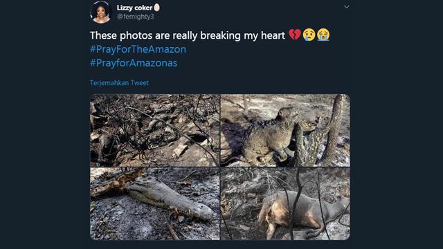 Pray For Amazon, Doa Warganet untuk Kebakaran Amazon