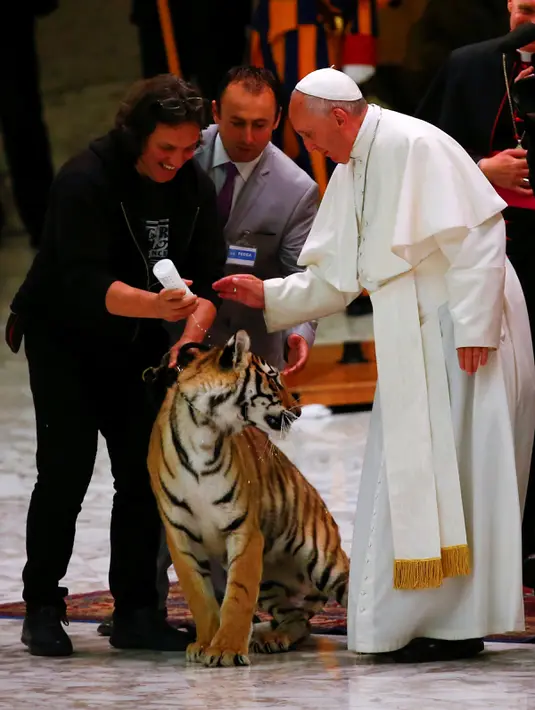 Paus Francis mencoba membelai seekor harimau di tengah acara sirkus jalanan yang digelar di Aula Paulus VI, Vatikan (16/6). Di sela-sela pertunjukan sirkus, Paus Francis diberi kesempatang memegang harimau. (REUTERS/Tony Gentile)
