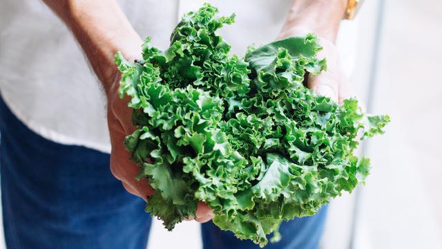 8 Jenis Sayuran Cepat Panen yang Mudah Ditanam di Rumah
