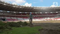 Pekerja melakukan pengerjaan revitalisasi rumput lapangan di Stadion Utama Gelora Bung Karno (SUGBK), Jakarta, Rabu (26/6/2024). (Liputan6.com/Herman Zakharia)