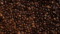 7 Biji Kopi Terbaik Dunia 2026 Menurut Espresso & Coffe Guide, Indonesia Masuk Dalam Daftar