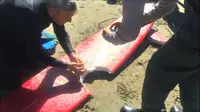 Seorang peselancar selamat dari maut ketika diserang seekor ikan hiu, namun papan selancarnya yang keras itu rusak parah.