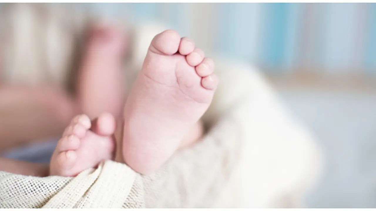 Foto: copyright thinkstockphotos.com